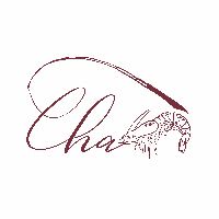 CHA 星光盃雙人對抗賽