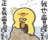 小鄒