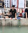 南逢棋守