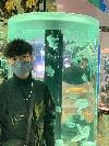 羊羊